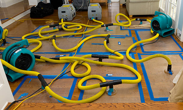 Professional Basement Flood Cleanup technician working in Batesville, TX
